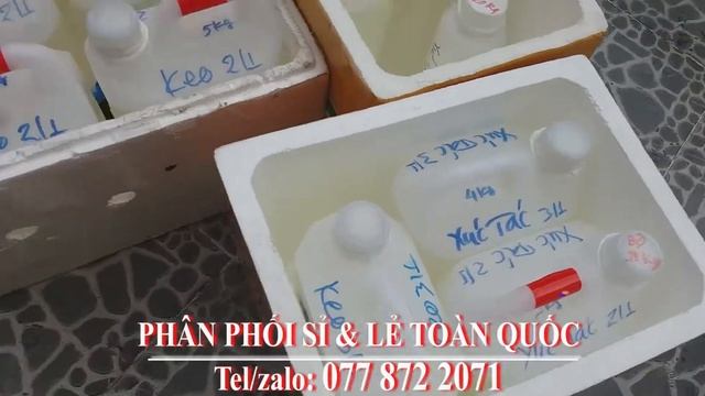 Shop Chuyên Cung Cấp Sản Phẩm Làm Bóng Epoxy, Ô Tô