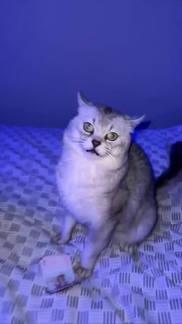Что ты выберешь?