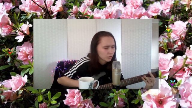 кукушка (Кино) cover // a cuckoo (Kino)