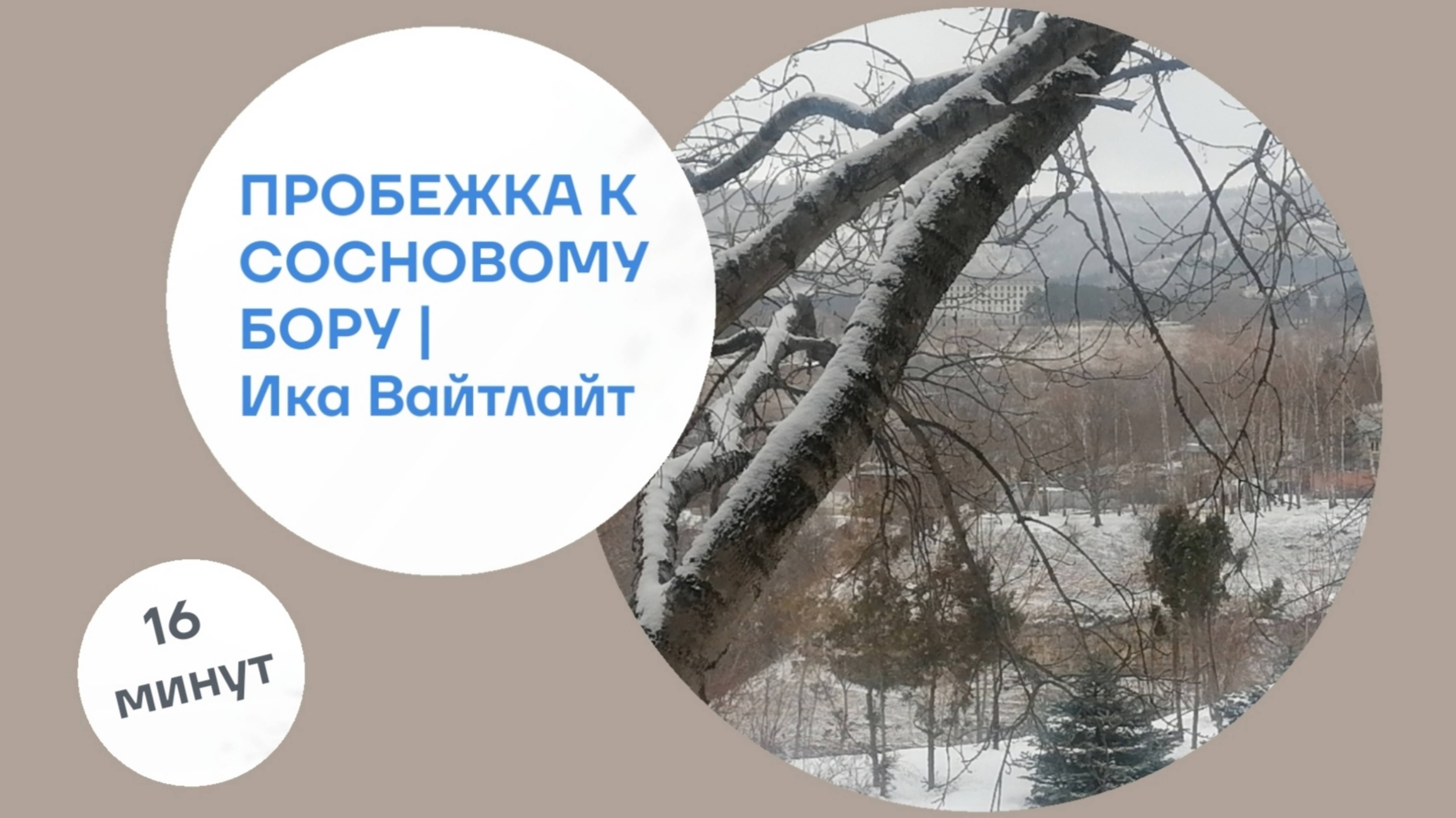Пробежка к Сосновому бору #Кисловодск|Серия коротких видео "Минута Комфорта" | Автор: Ика Вайтлайт