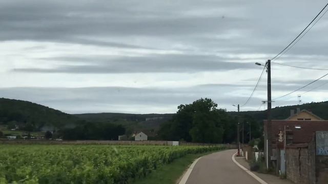 🍷 Вина 🇫🇷 Франции 🇫🇷 7 погрузок 🤦🏻♂️ # упёрся в знаки по массе и длинне🤦🏻♂️