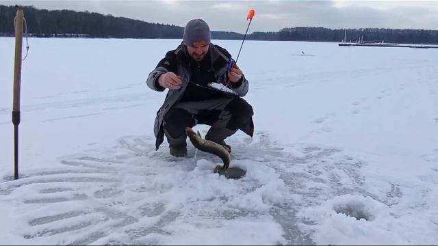 проверка жерлиц 05.02