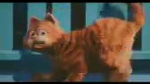 Толстый кот