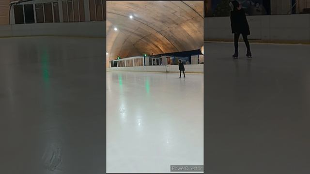профессионал на коньках