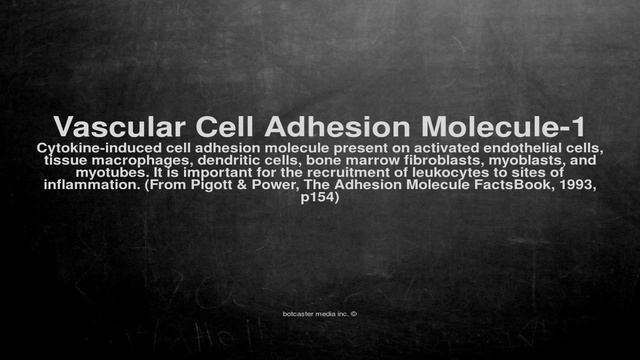 Medical vocabulary: What does Vascular Cell Adhesion Molecule-1 mean