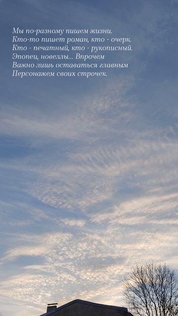 06.02.25 АЗ #ниднябезрифмы