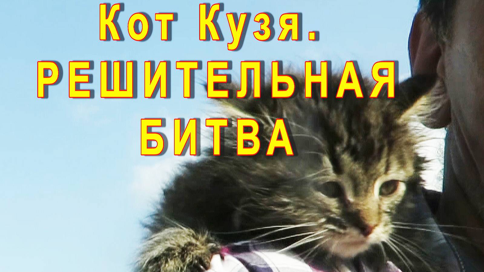 03-Кот Кузя