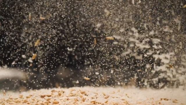Краснодарское производство круп