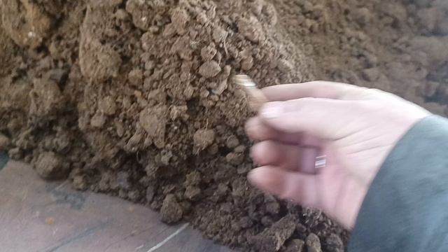 Переработка органики (шквары) мясокостной муки в пиролизной установке