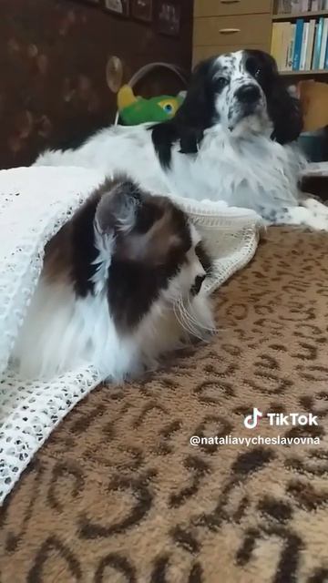 Тунеядцев в стране не будет!...)))