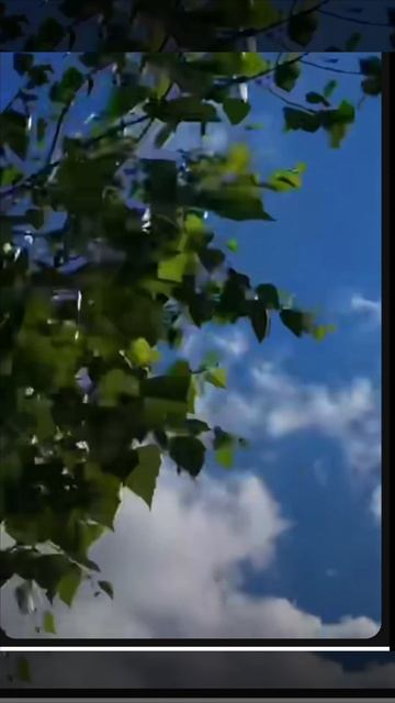 Авторская песня