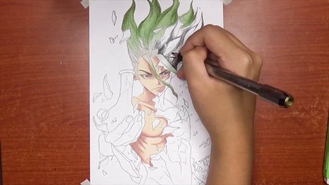 Speed Drawing - Senku Ishigami (Dr. Stone) [HD]