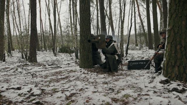 Эволюция сознания