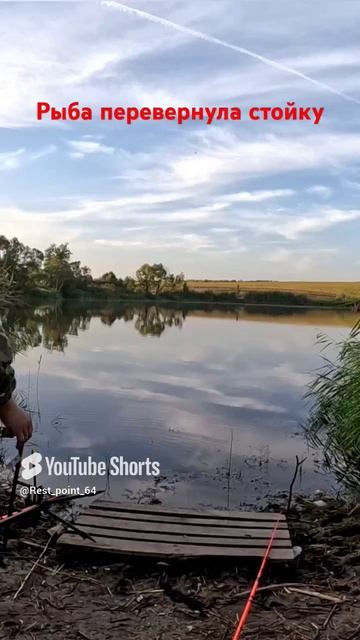Рыба перевернула стойку. #точкаотдыха64 #рыбалка #палатка #fishing