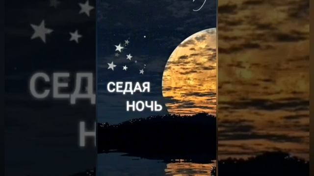 YouCut_20250206_113654501.mp4