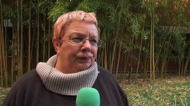 Le charançon rouge : une menace pour les palmiers de la Côte