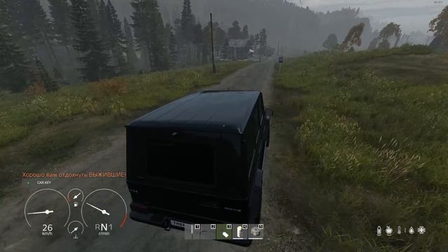 DayZ