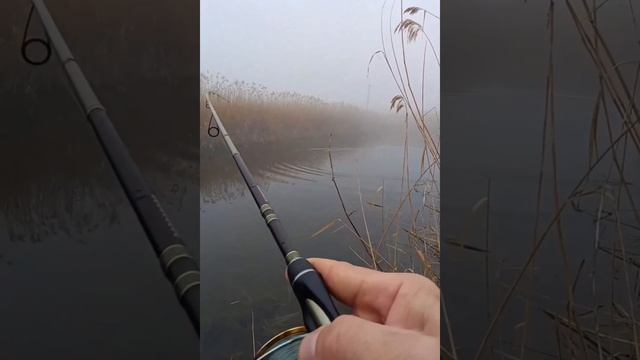 Февральские Щуки Монстры 🦈. Зимняя рыбалка, она нонче такая, однако 🎣👋