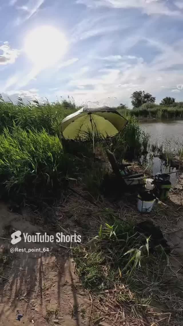 #точкаотдыха64 #рыбалка #carpfishing #fishing #зонт #креслодлярыбалки