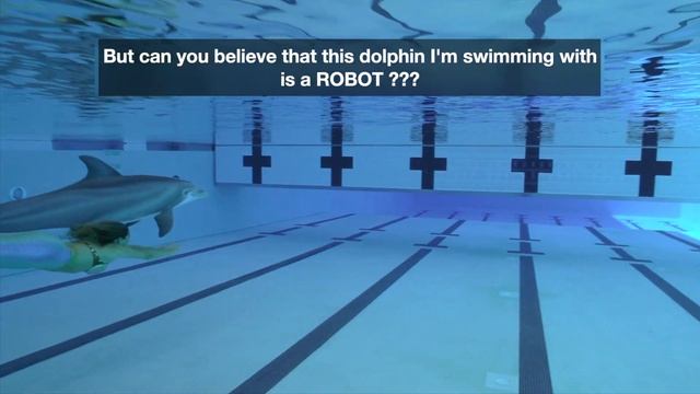 Mermaid Linden swims with ROBOTIC dolphin! Can you tell? Meet Edge Dolphin Spirit's "Delle Dolphin!