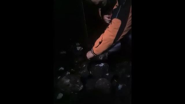 Ленок Славы