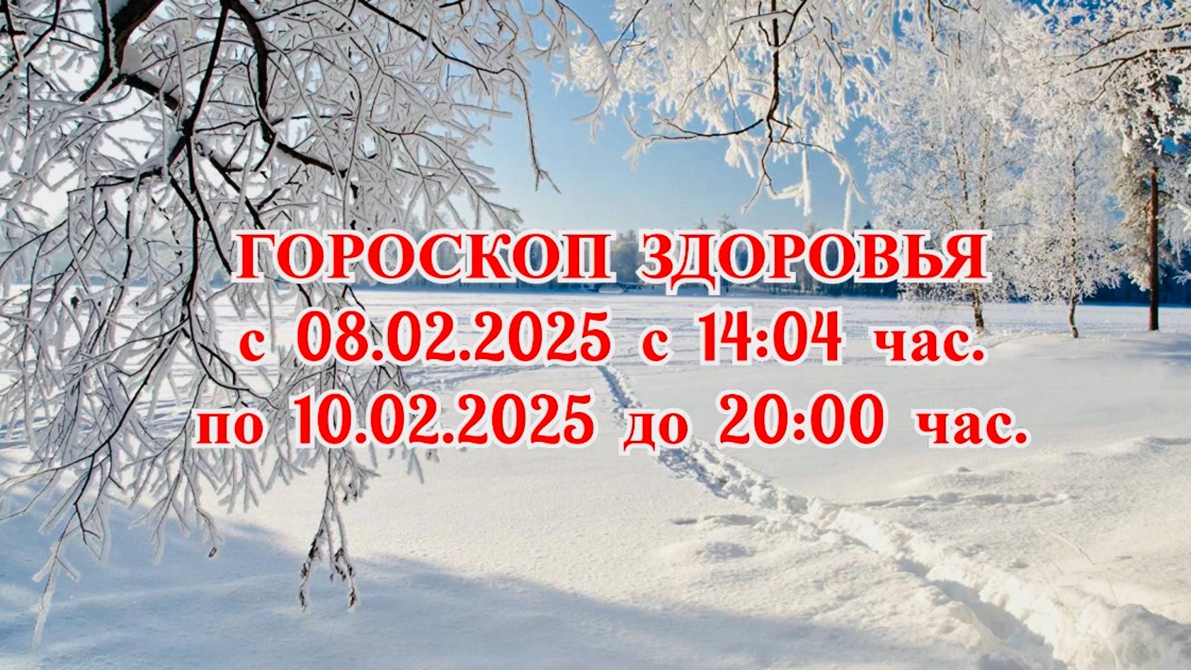 "ГОРОСКОП ЗДОРОВЬЯ с  08.02.2025 по 10.02.2025!!!"