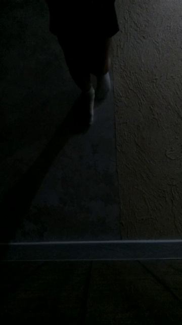 scene_output.mp4