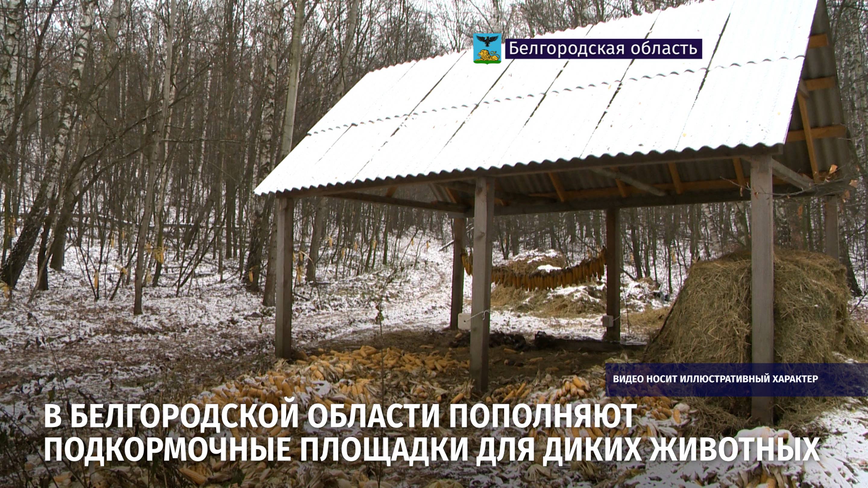 В Белгородской области пополняют подкормочные площадки для диких животных