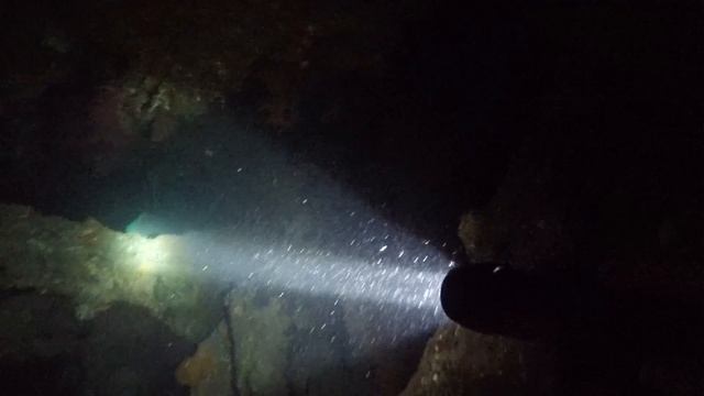 Ночное погружение. Рабы Шишколоб до 1,3 метра и 46 килограм. Бали сентябрь 2015
