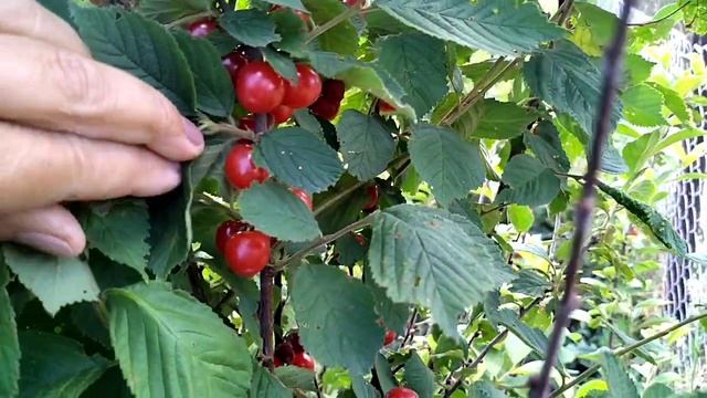 Куда ПРОПАЛА ❓Жизнь Продолжается ☑️ Делаем Заготовки для ВСЕХ ☘️