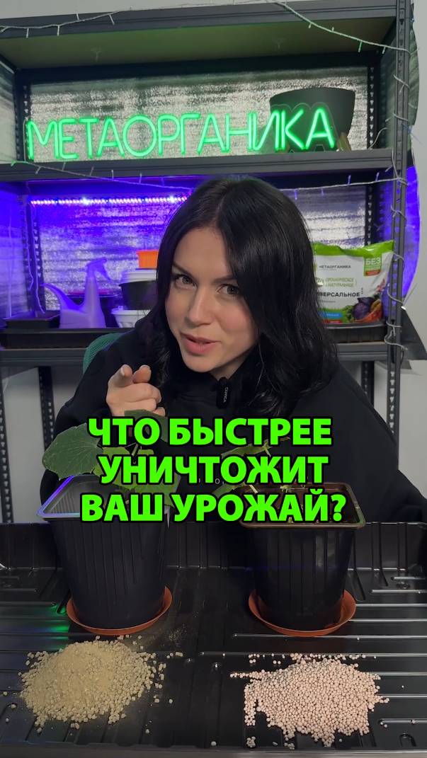 Что быстрее уничтожит ваш урожай?