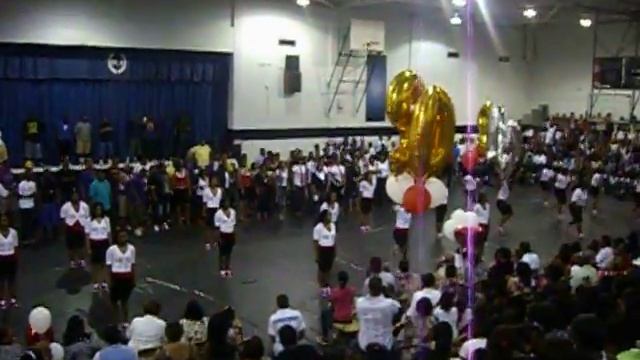 Gamma Rho Chapter 2010- Delta Sigma Theta "All of my LOVE"