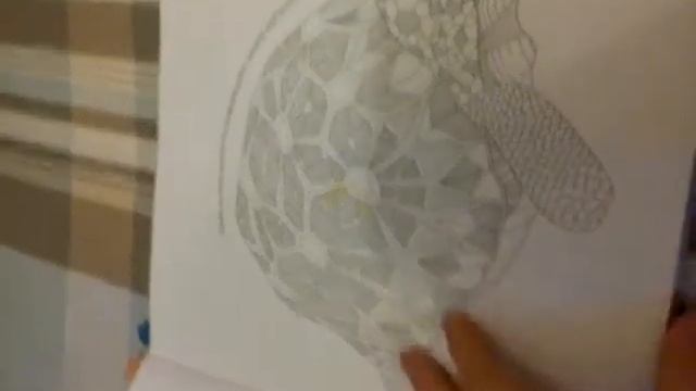 Моя розмальовка анти стрес.