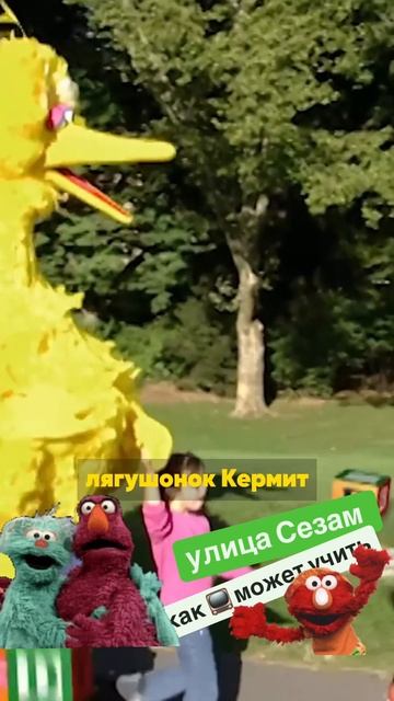 Улица Сезам проект, который учил детей грамоте. #sesamstreet