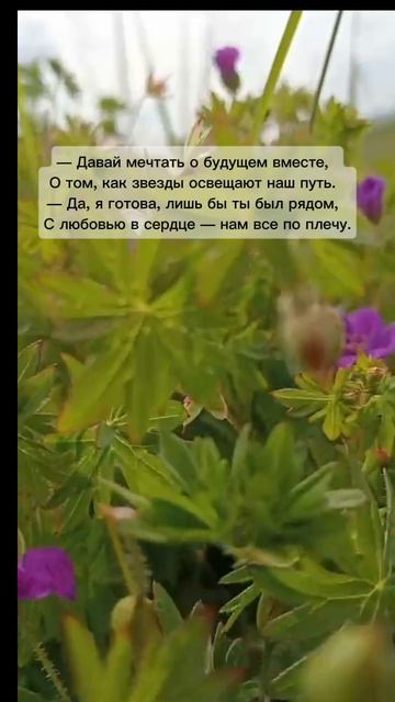 Давай мечтать #цитаты, #шортс, стихипролюбовь, #поэзия