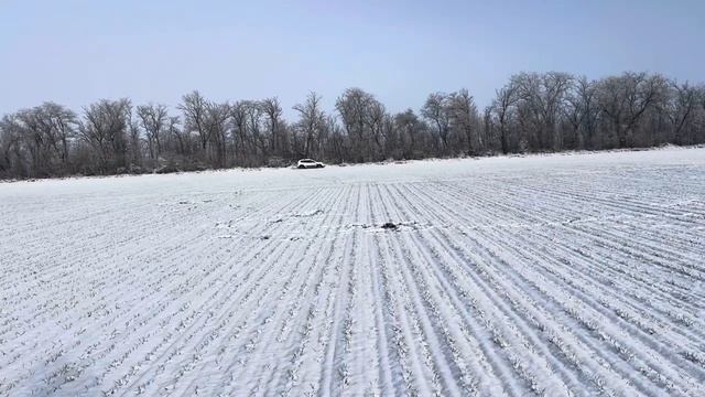 Гром/пар. 14.01.25 ЗАО «Кировский конный завод».