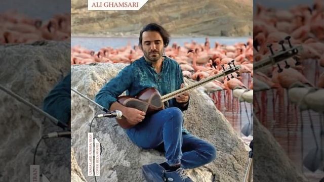 Iranian Tar-13 (Lake Urimia)