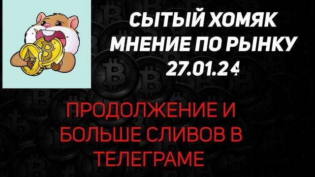 Сытый Хомяк мнение по рынку из вип 26.01.24 Что делать?