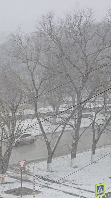 ☃️В Керчи идет снег
Долго на дорогах он не задерживается, так как столбики термометров показывают+1