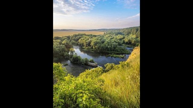 Я люблю тебя, жизнь