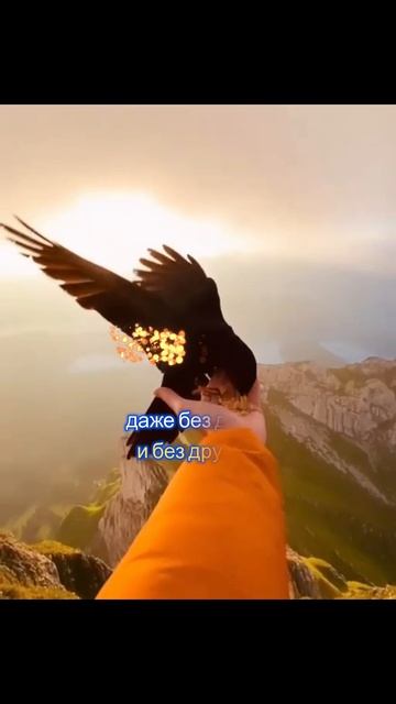 Когда боль отпускает
#цитаты