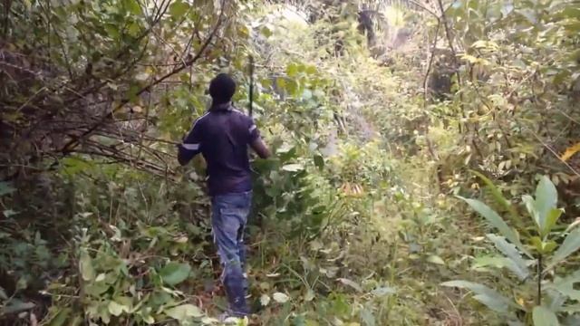 Мачете – грозное оружие?