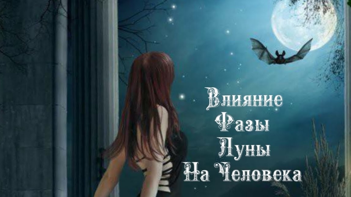 Влияние Фазы Луны на человека 6️⃣ Февраля 2️⃣0️⃣2️⃣5️⃣ 🌒🌓🌔🌕🌖🌗🌘🌙🌛🌜🌝