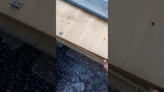 Дешовая опалубка для заливки стен и фундамента,