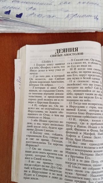 вот такое мнение обо мне у литературных критиков