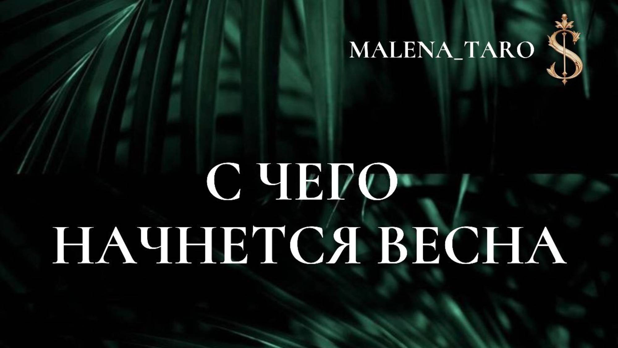 ТАРО РАСКЛАД
С ЧЕГО НАЧНЕТСЯ ВЕСНА