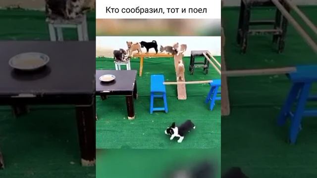 Кто сообразил.
