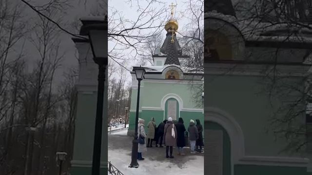 День памяти Блж. Ксении Петербургской🙏🕊️🌺