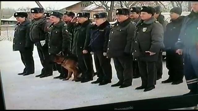 Моему другу Хамзе Салькину!