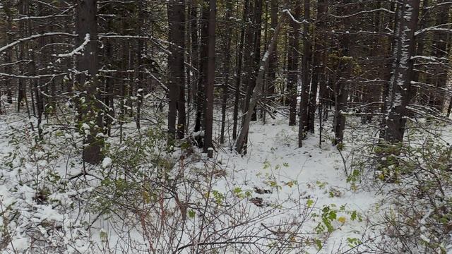 В изоляции. 8 сезон. 8 серия.